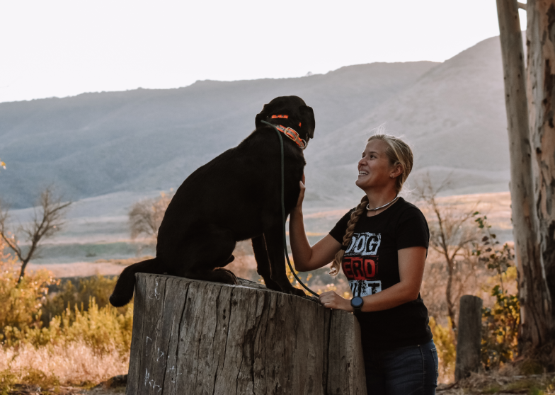 Empower your dog with unwavering confidence. Our specialized training focuses on building your canine companion's self-assurance, ensuring they navigate the world with poise and resilience. Watch them thrive in various situations with newfound assurance.